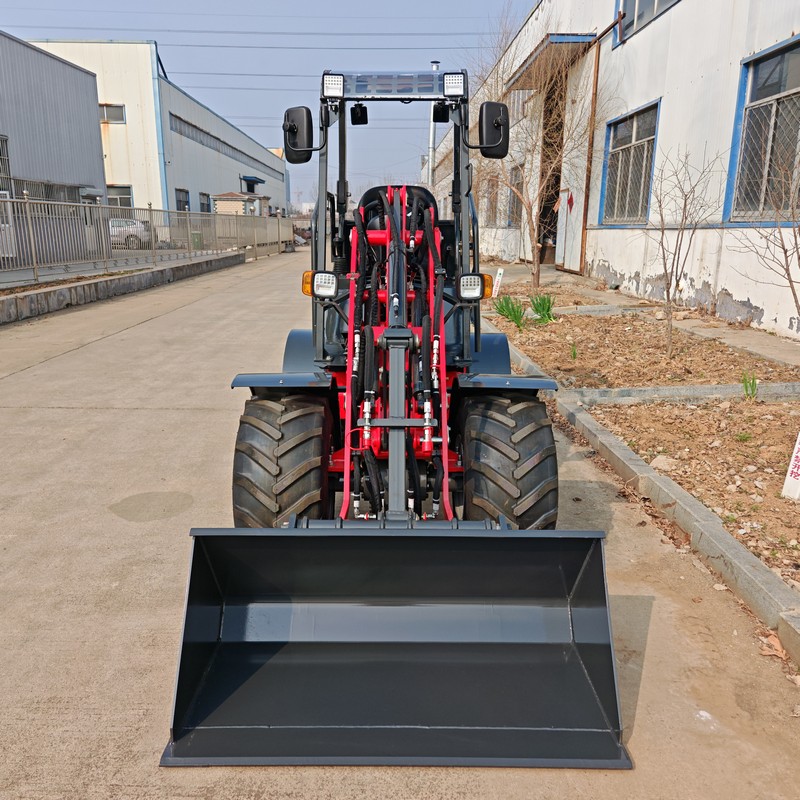 Chargeuse compacte